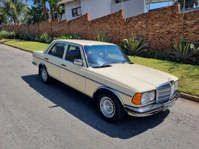 1984 Mercedes-Benz W123 230E (photo 1)